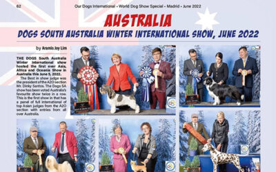 Our Dogs International – Winter International Report