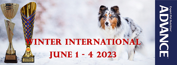 2023 Dogs SA ADVANCE Winter International UPDATE