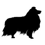 Shetland Sheepdog Club of SA
