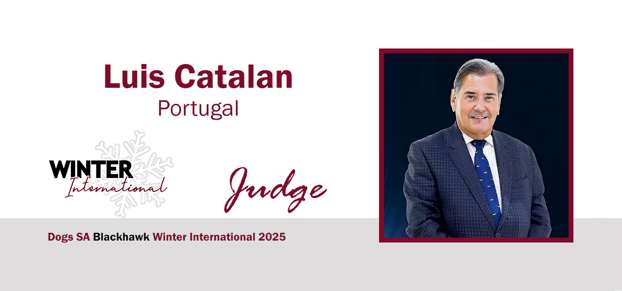 Luis Catalan (Portugal) Luis Catalan (Portugal)
