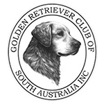 Golden retriever Club of SA