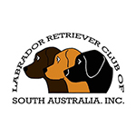 Labrador Retriever Club of SA