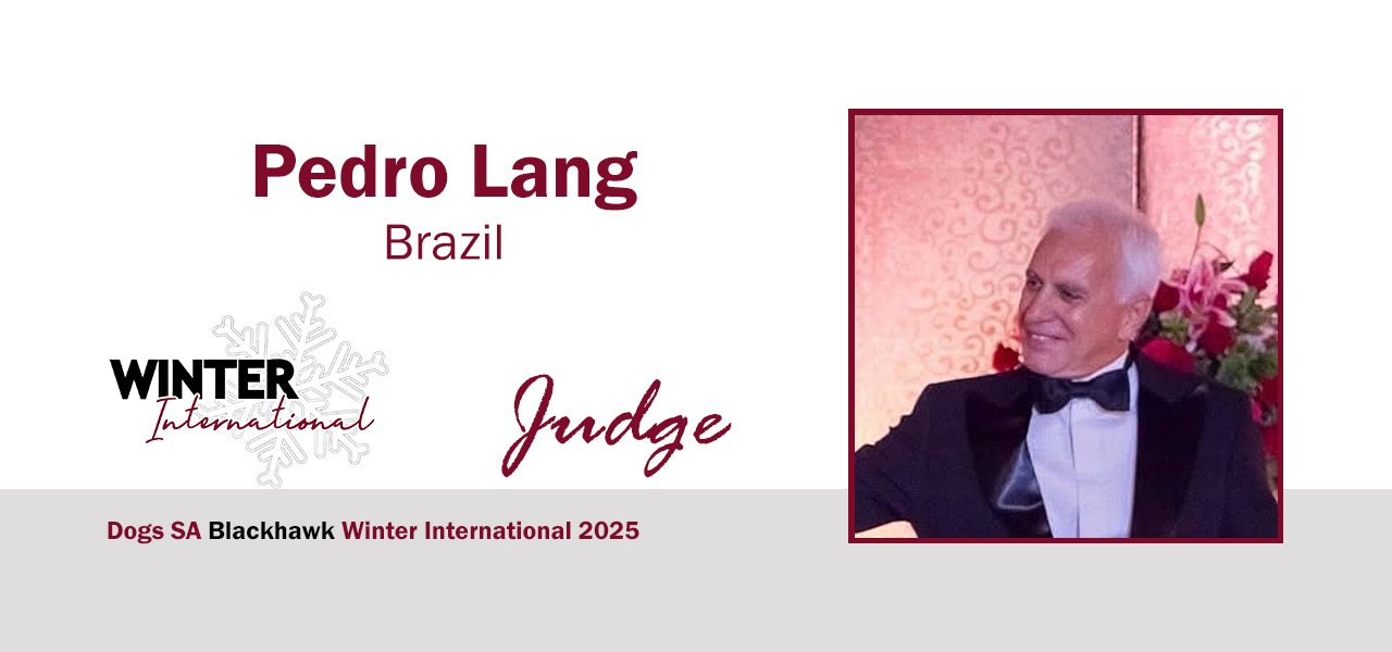 Pedro Lang (Brasil) Pedro Lang (Brasil)