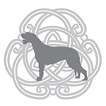 THE IRISH WOLFHOUND CLUB OF SA INC